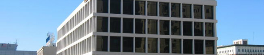 Los Angeles Criminal Lawyer